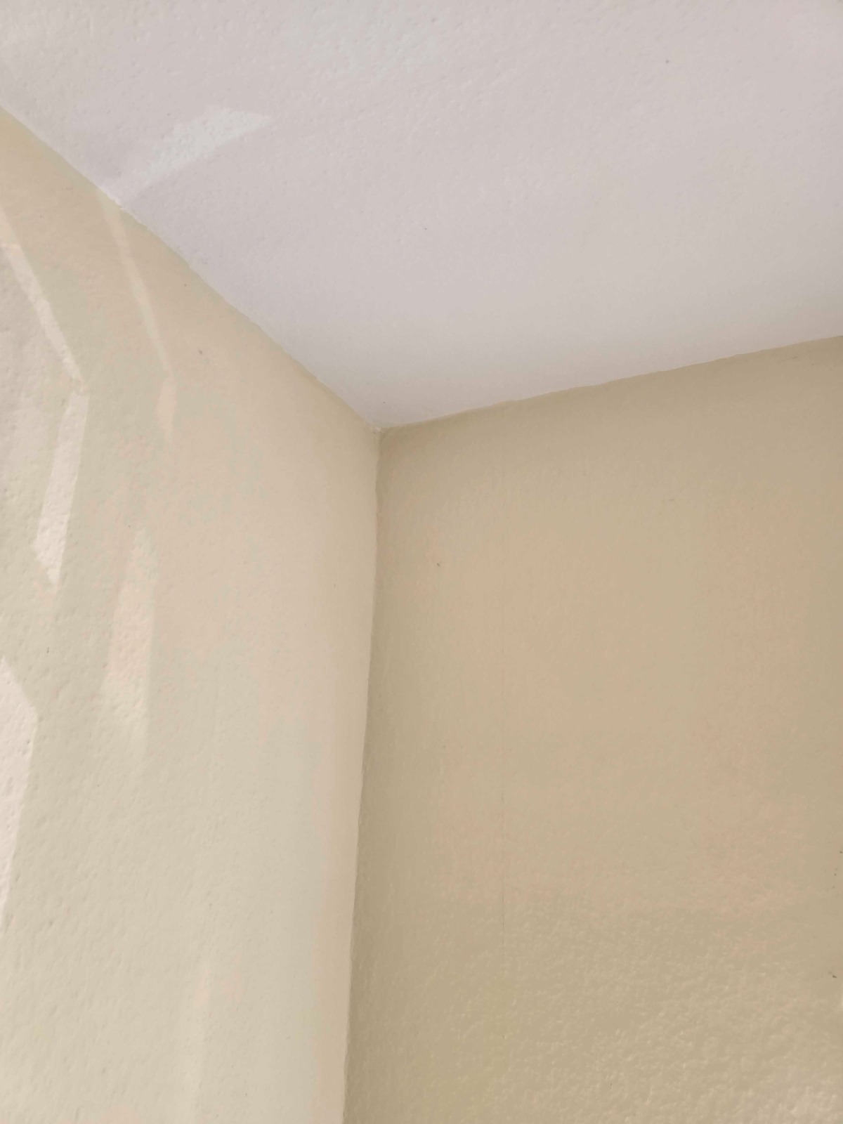 Clean restored wall after mould treatment
